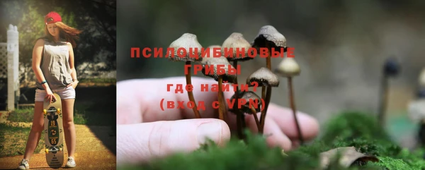 дурь Алексин