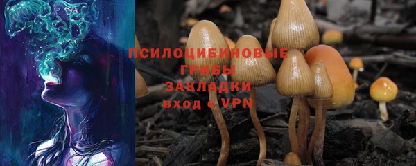 мяу мяу мука Алексеевка